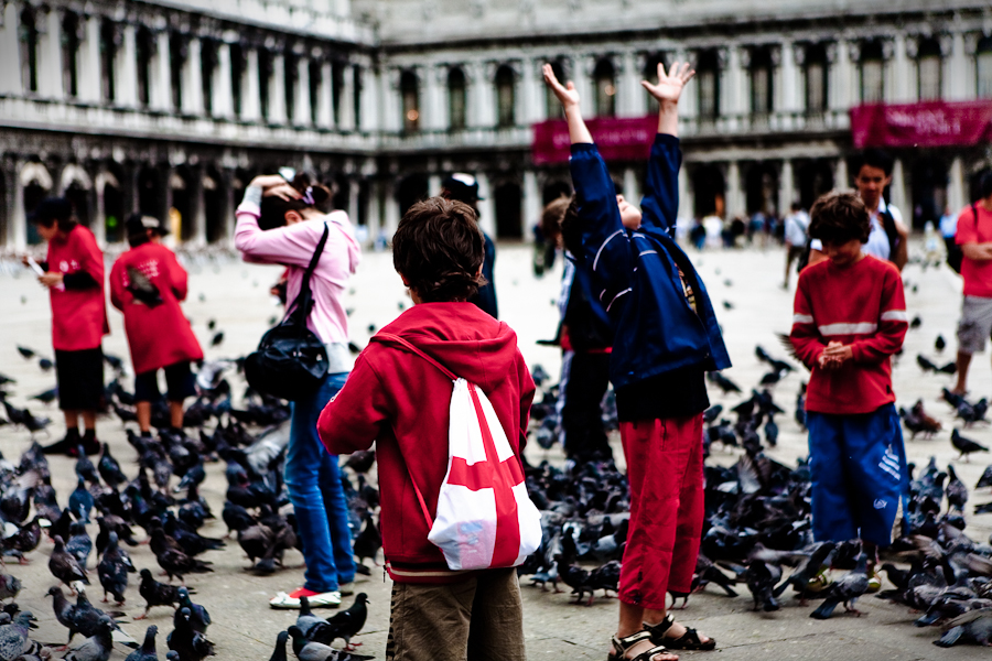 Venice - Boys playing with pigeons in St. Mark's square, color photo