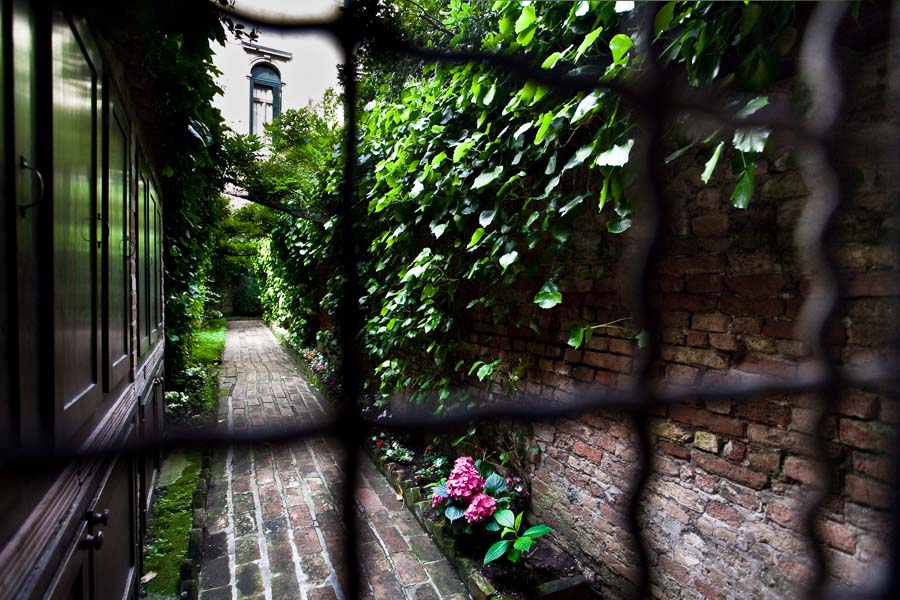 Venice - garden in bloom in sestiere of S. Croce, color landscape photo
